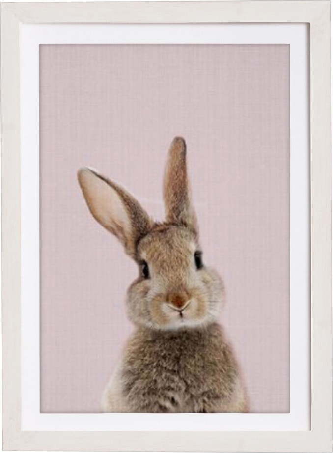 Nástěnný obraz v rámu Querido Bestiario Baby Rabbit