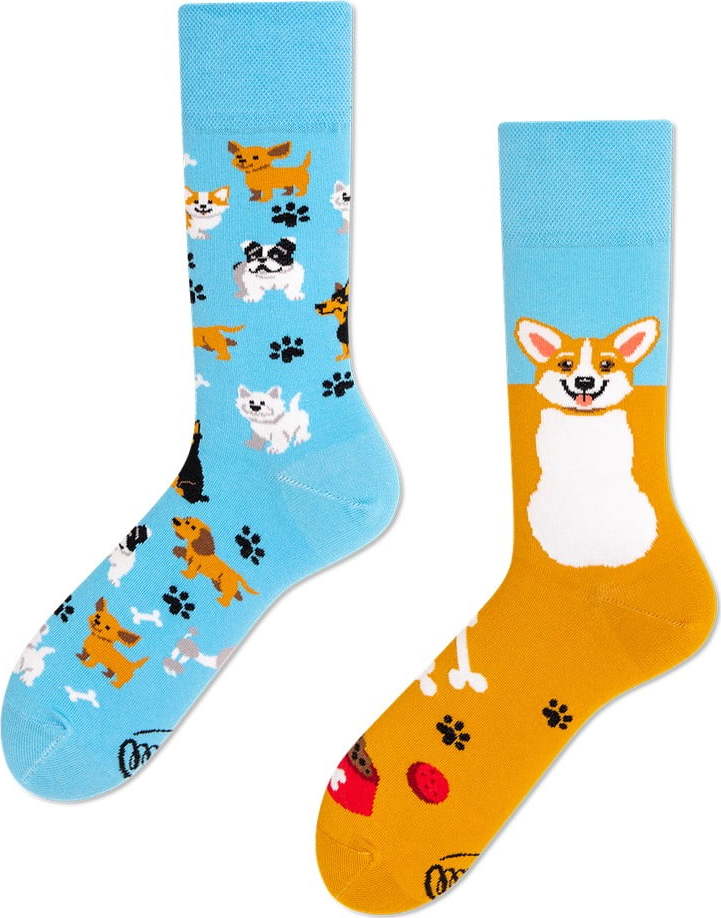 Ponožky Many Mornings Playful Dog