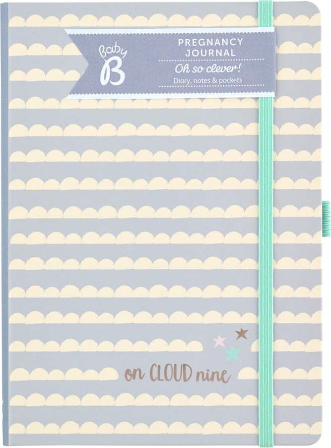 Těhotenský deník Busy B Pregnancy Journal Busy B