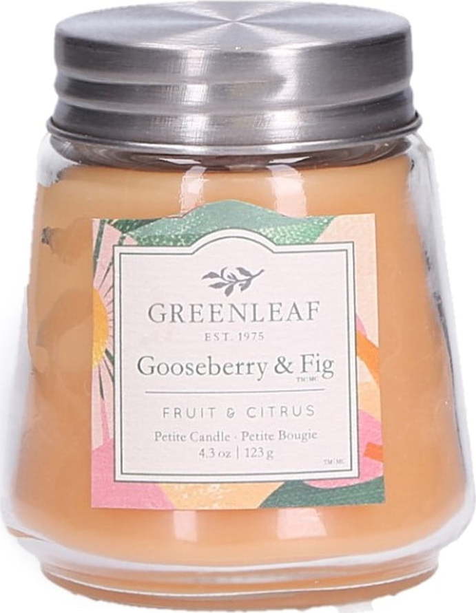 Vonná svíčka Greenleaf Gooseberry And Fig