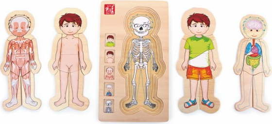 Dřevěná hračka Legler Anatomy Boy Legler