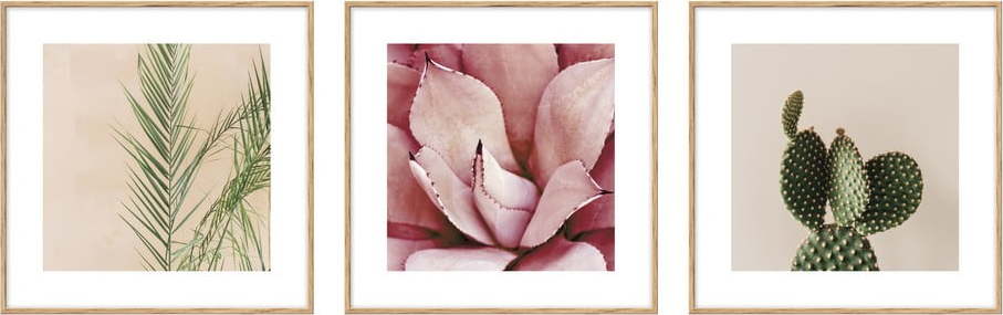 Plakát 22.5x22.5 cm Flowers knor