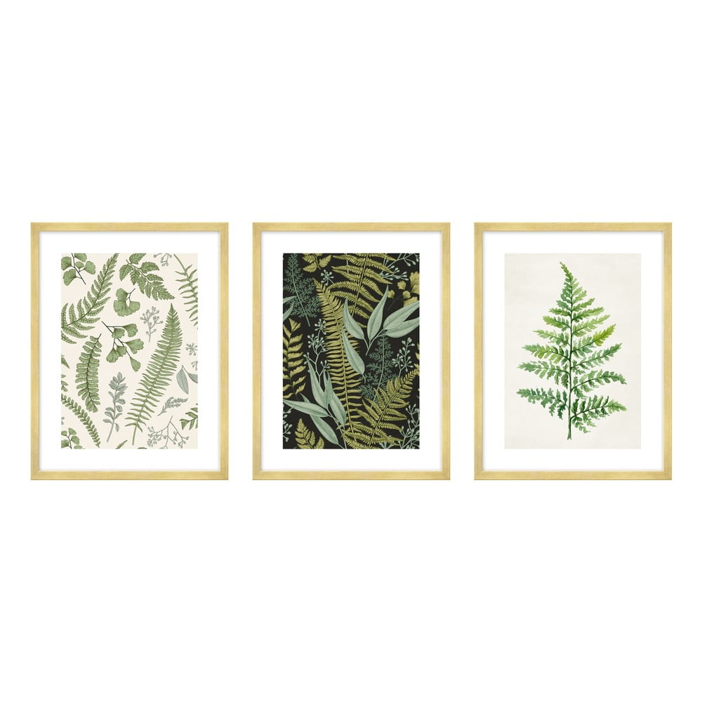 Plakát 30x40 cm Fern knor