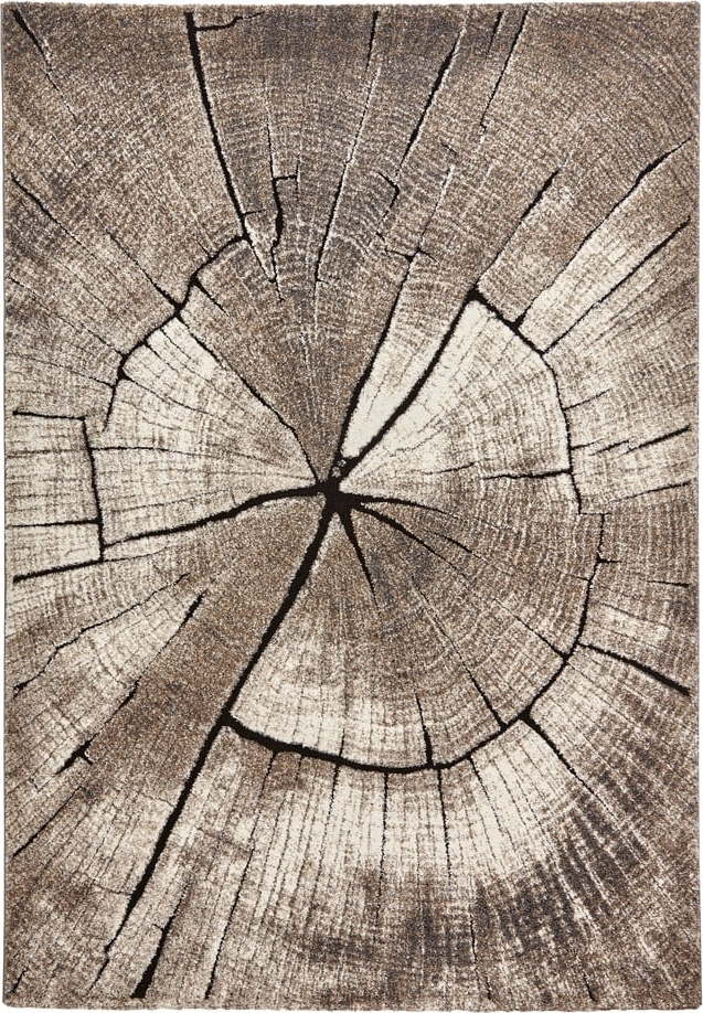 Béžový koberec 230x160 cm Woodland - Think Rugs Think Rugs
