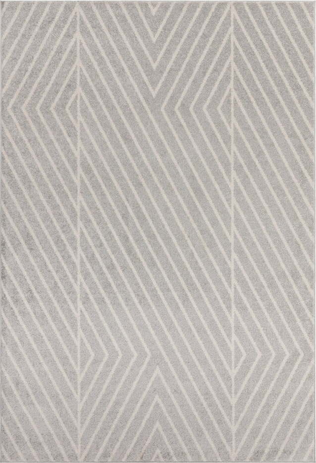 Světle šedý koberec 80x150 cm Muse – Asiatic Carpets Asiatic Carpets