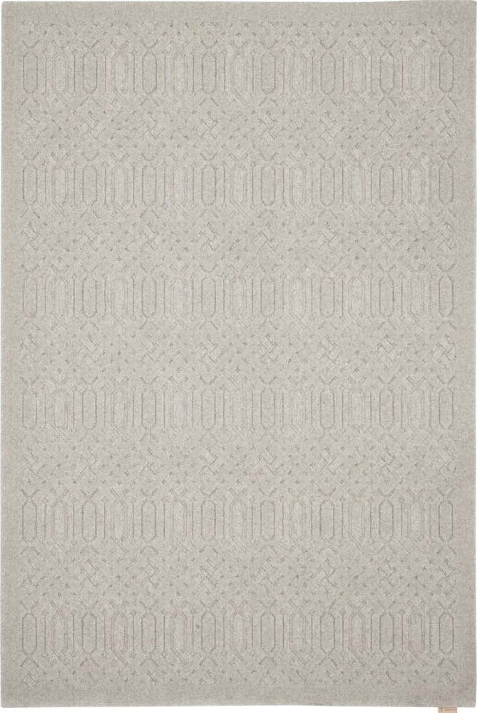 Světle šedý vlněný koberec 200x300 cm Dive – Agnella Agnella