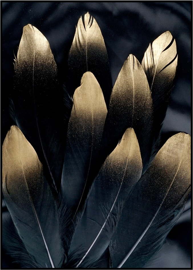 Obraz 50x70 cm Golden Feather – Malerifabrikken Malerifabrikken