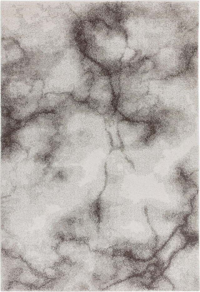 Šedý koberec 160x230 cm Dream – Asiatic Carpets Asiatic Carpets