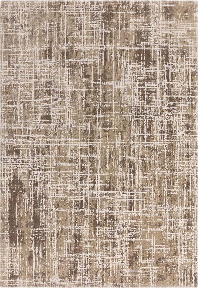 Béžový koberec 160x230 cm Kuza – Asiatic Carpets Asiatic Carpets