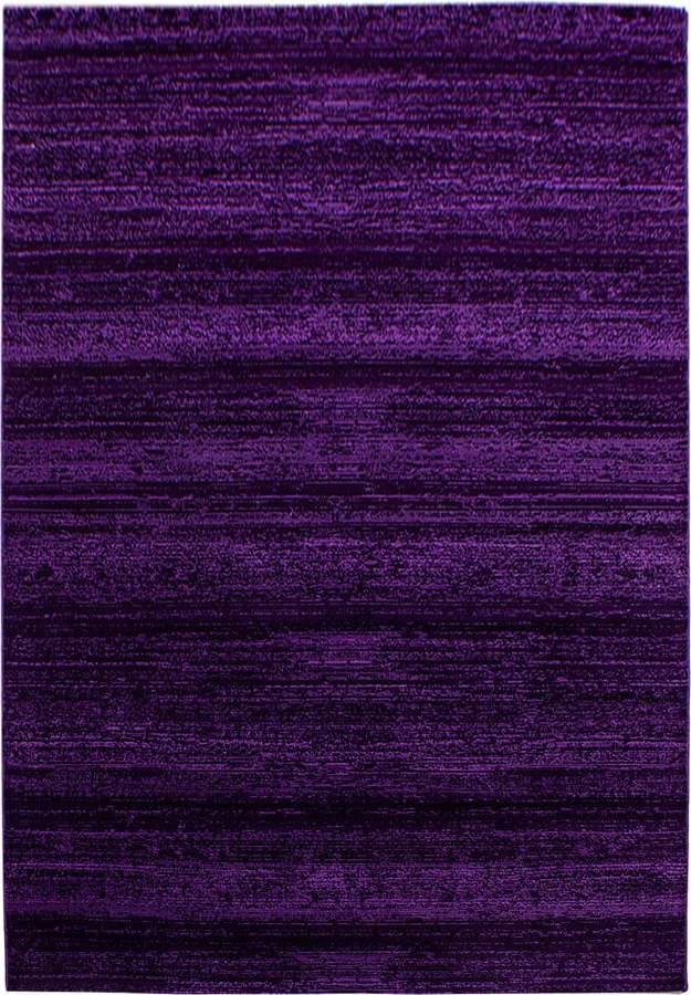 Tmavě fialový koberec 120x170 cm Plus – Ayyildiz Carpets Ayyildiz Carpets