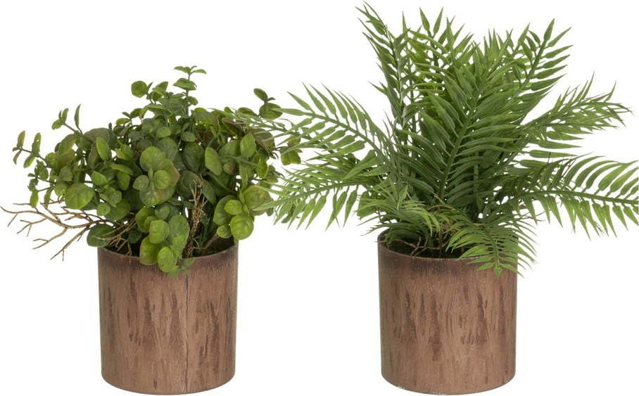 Umělé rostliny v sadě 2 ks (výška 22 cm) – Casa Selección Casa Selección