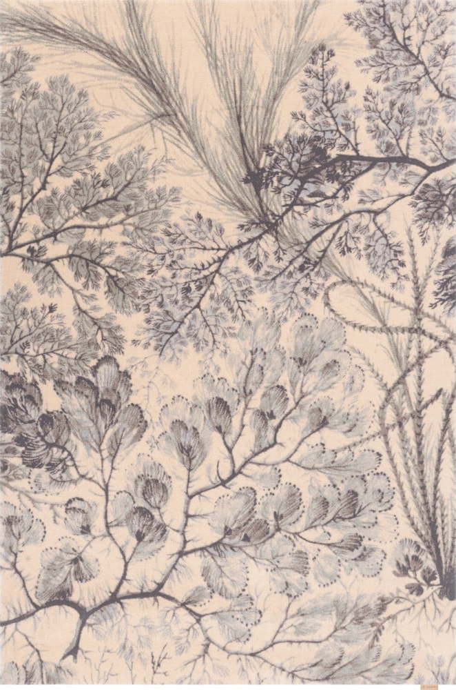 Vlněný koberec v mentolové a béžové barvě 133x190 cm V&A Calisia Kelp – Agnella Agnella