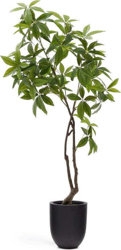 Umělá rostlina (výška 180 cm) Pachira – Kave Home Kave Home