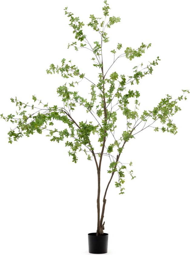 Umělá rostlina (výška 214 cm) Enkianthus – Kave Home Kave Home