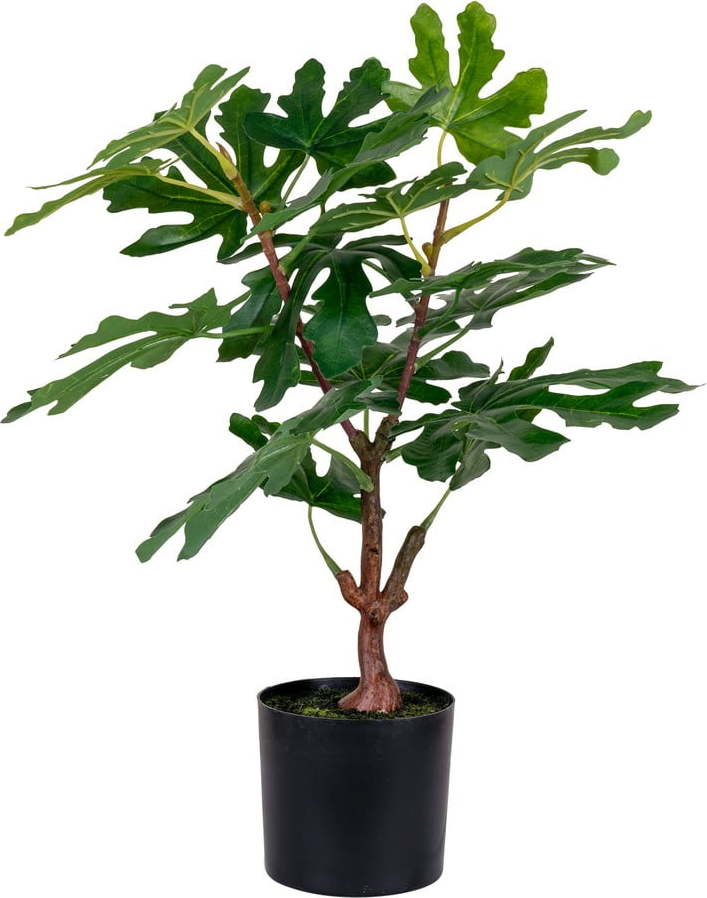 Umělá rostlina (výška 60 cm) Fig – House Nordic House Nordic