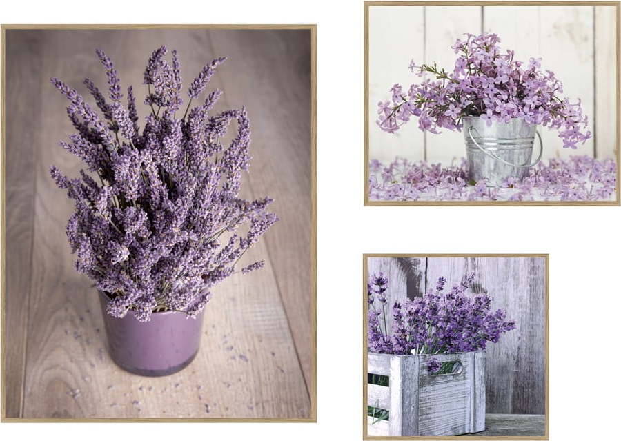 Obrazy v sadě 3 ks 40x50 cm Purple Flowers – knor knor