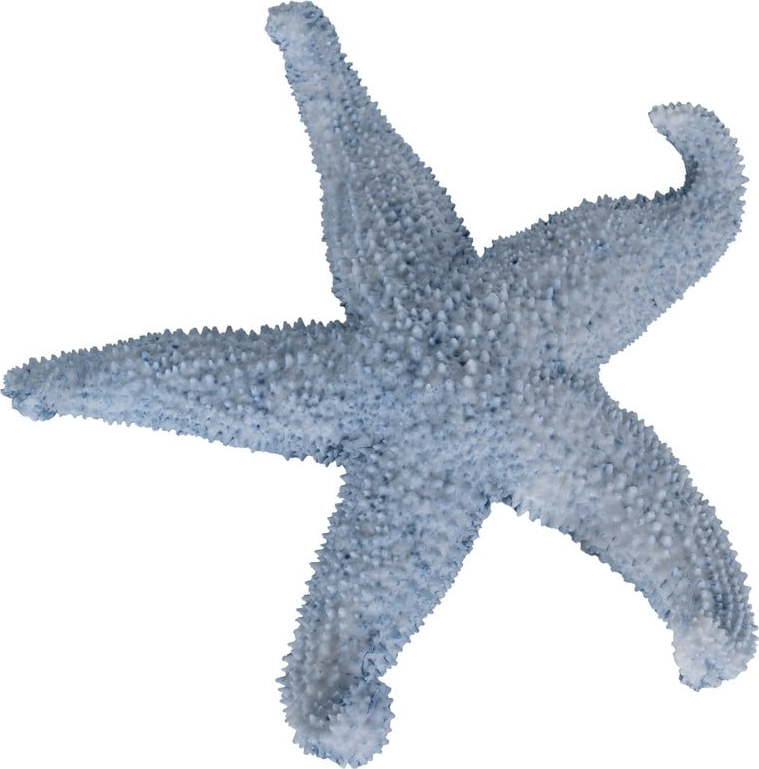 Soška z polyresinu (výška 5 cm) Star – Ixia Ixia