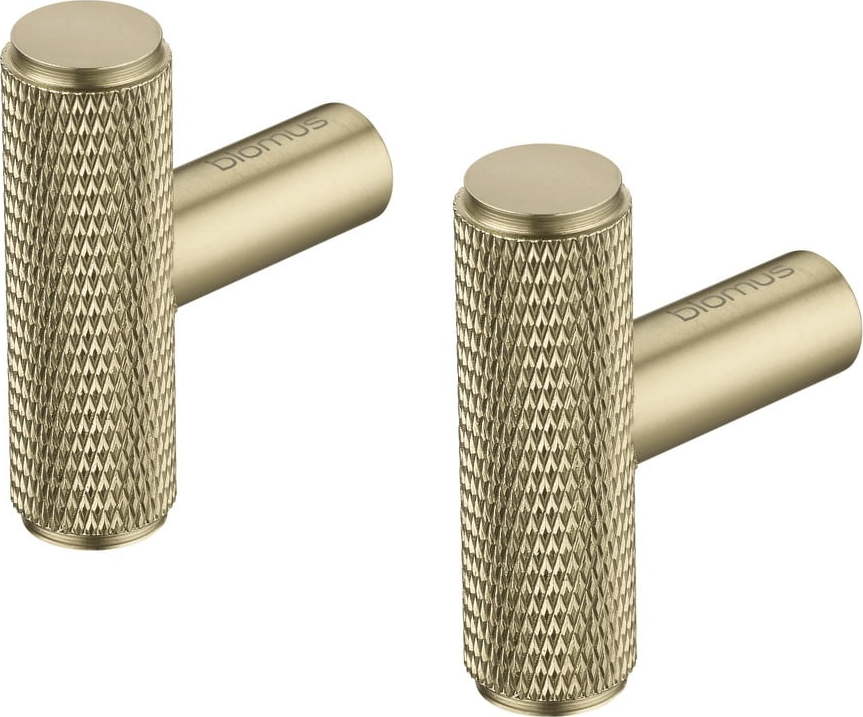 Nástěnné kovové háčky v sadě v mosazné barvě 2 ks Rof – Blomus Blomus