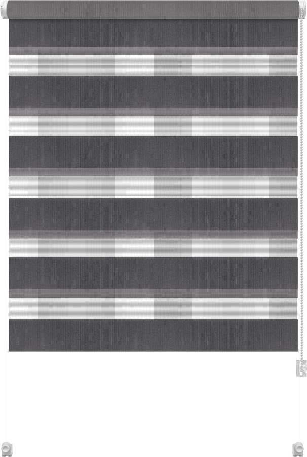 Tmavě šedá roleta den a noc 97x150 cm Zebra – Gardinia Gardinia