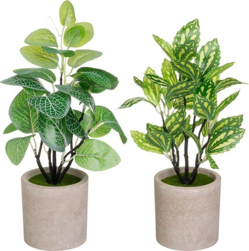 Umělé rostliny v sadě 2 ks (výška 28 cm) – Casa Selección Casa Selección