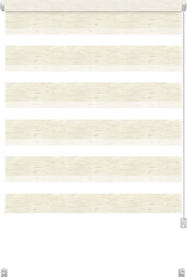 Roleta den a noc v přírodní barvě 97x150 cm Zebra Silvalin – Gardinia Gardinia