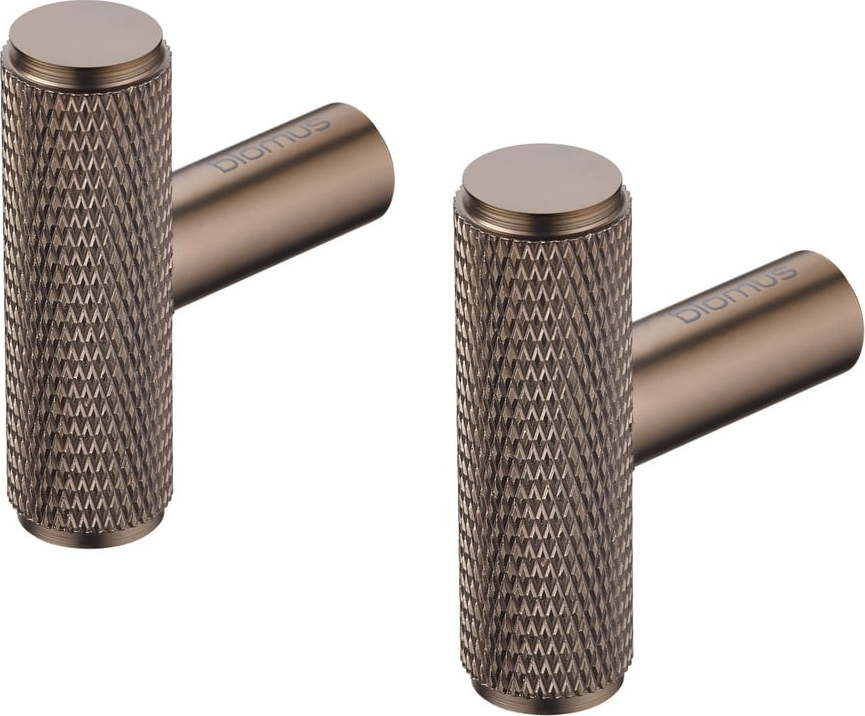 Šedé nástěnné kovové háčky v sadě 2 ks Rof – Blomus Blomus