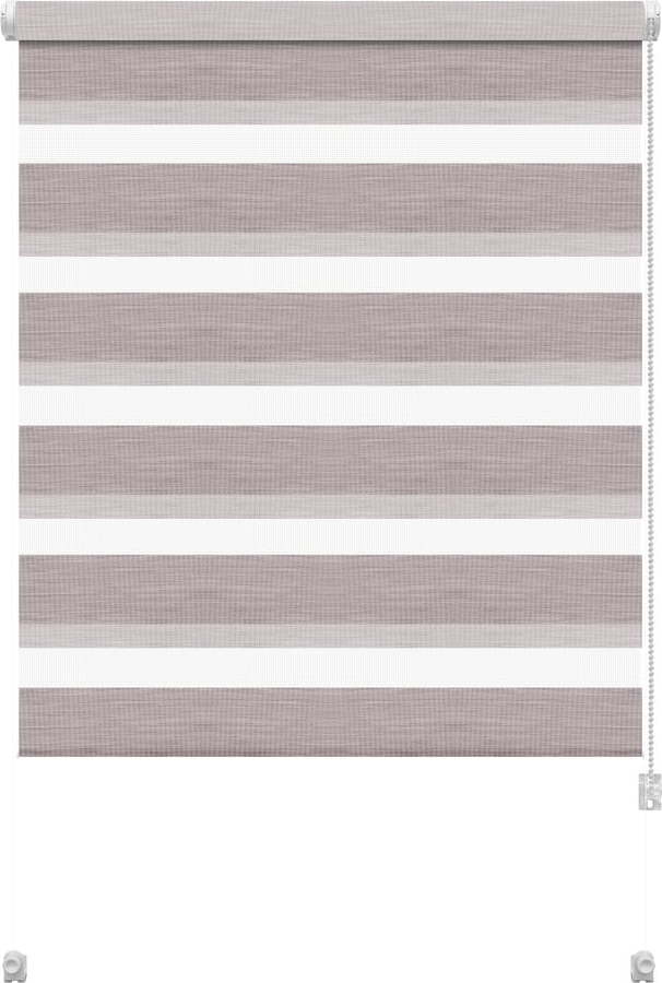 Taupe roleta den a noc 97x150 cm Zebra Silvalin – Gardinia Gardinia