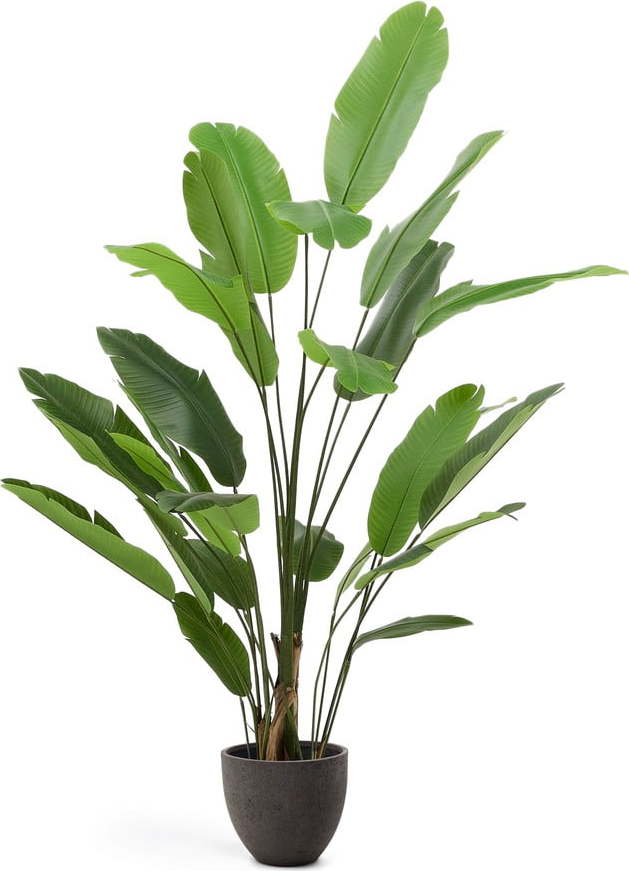 Umělý banánovník (výška 210 cm) – Kave Home Kave Home