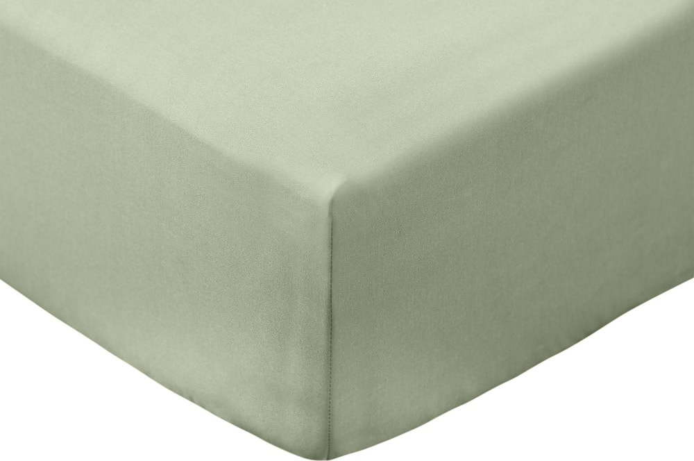 Zelené napínací prostěradlo z bavlněného perkálu 150x200 cm Cotton Percale – Bianca Bianca