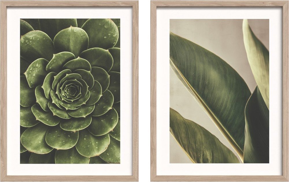 Tištěné obrazy v sadě 2 ks s rámem 30x40 cm Beauty Green – Styler Styler