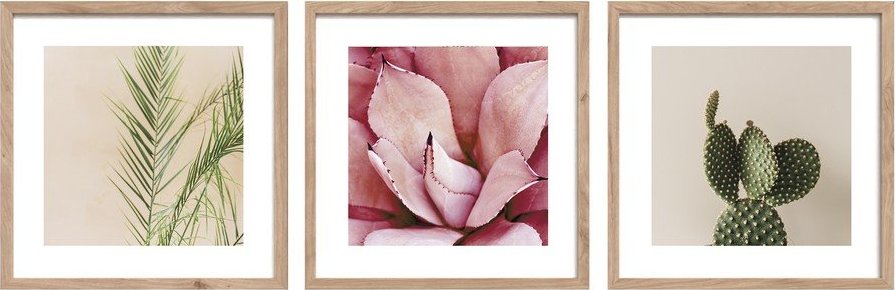 Tištěné obrazy v sadě 3 ks s rámem 30x30 cm Fresh – Styler Styler
