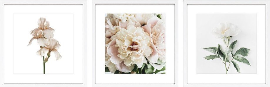 Tištěné obrazy v sadě 3 ks s rámem 30x30 cm Posy – Styler Styler